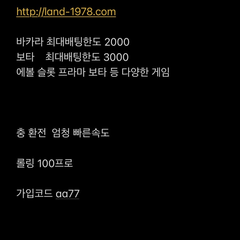 ●카지노 슬롯●